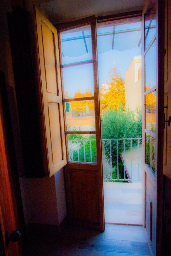 "Sea & Center" Free Beach, Wifi, Mini Pool, Roof Terrace, Ladispoli, Rome Buitenkant foto